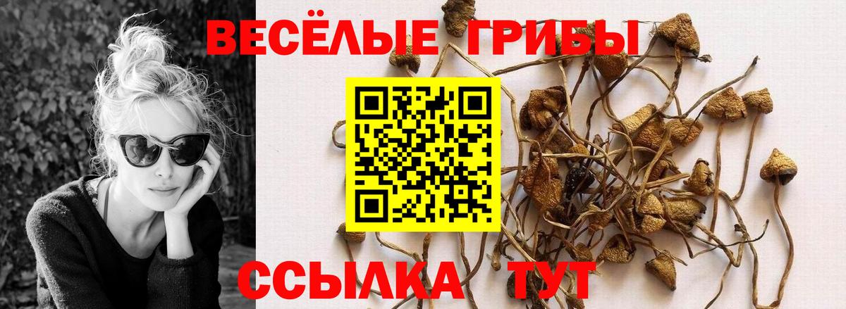 Псилоцибиновые грибы Psilocybine cubensis  Вход с VPN  Гудермес  где купить   Галлюциногенные грибы мухоморы 