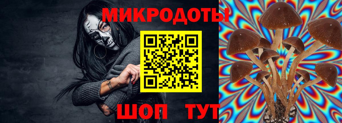 Псилоцибиновые грибы MAGIC MUSHROOMS Гудермес
